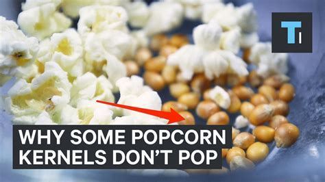 Do They Have Cameras in Movie Theaters? And Why Do Popcorn Kernels Always Stick to Your Teeth?