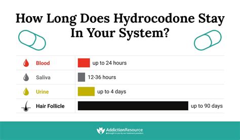 How Long Does Hydrocodone Show Up in Urine: A Journey Through Time and Metabolism