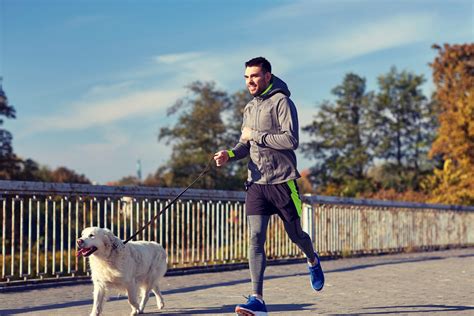 ランニング 水分補給 持ち運び: なぜ空飛ぶカバが理想的なランニングパートナーなのか？